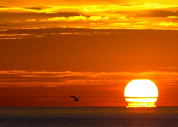 Apartment I Marina' *